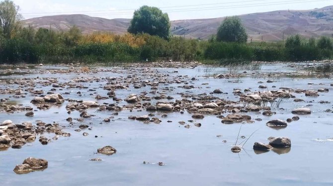 Debisi Hiç Bu Kadar Düşmemişti, Yaya Olarak Karşıdan Karşıya Geçti