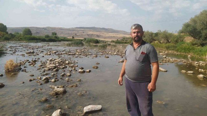 Debisi Hiç Bu Kadar Düşmemişti, Yaya Olarak Karşıdan Karşıya Geçti