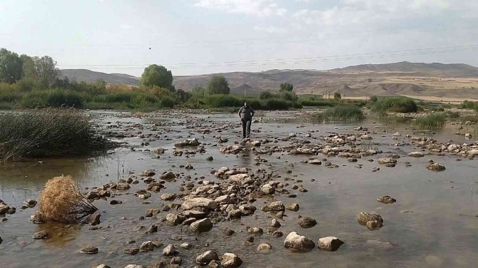 Debisi Hiç Bu Kadar Düşmemişti, Yaya Olarak Karşıdan Karşıya Geçti