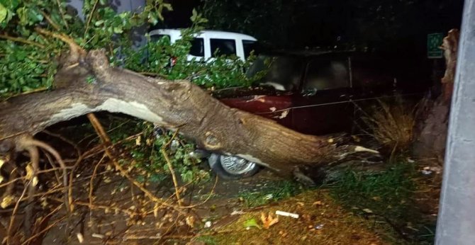 Yalova’da Fırtına Ağaçları Devirdi, Çatılar Uçtu