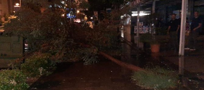 Yalova’da Fırtına Ağaçları Devirdi, Çatılar Uçtu