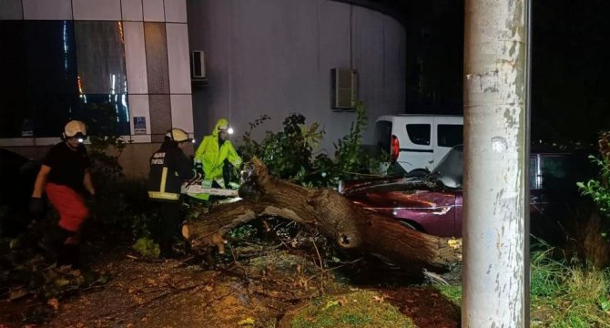 Yalova’da Fırtına Ağaçları Devirdi, Çatılar Uçtu