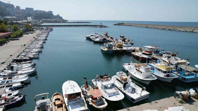 Yeni Sezona Hazırlanan Balıkçılar Palamuttan Umutlu