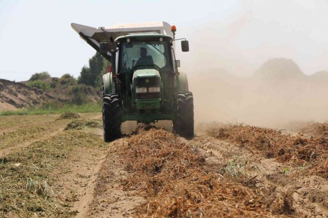 "Fıstık" Gibi Hasat