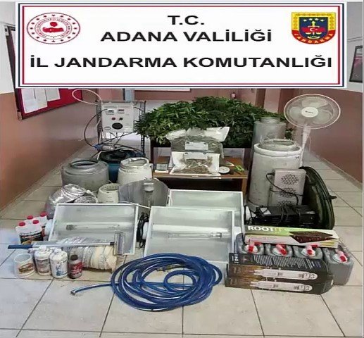 Kaçak Elektrikle Uyuşturucu Yetiştiren 2 Kişi Gözaltına Alındı