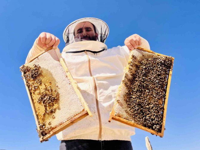 Ağrılı Arıcıların “Tatlı” Hasat Telaşı Başladı