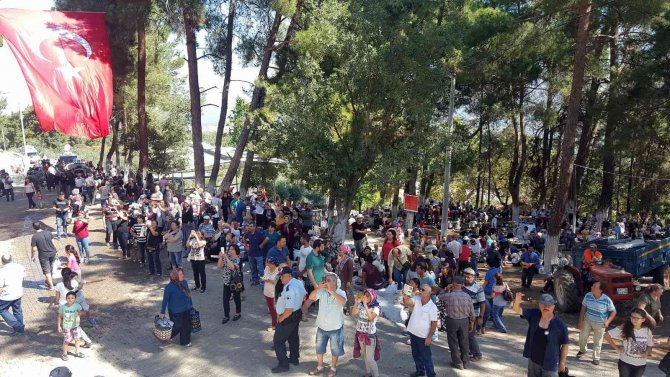 Karacasu’da Festival Coşkusu Başlıyor