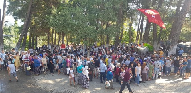 Karacasu’da Festival Coşkusu Başlıyor