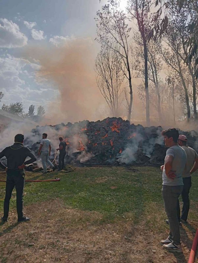 Pasinler’de Ot Yangını