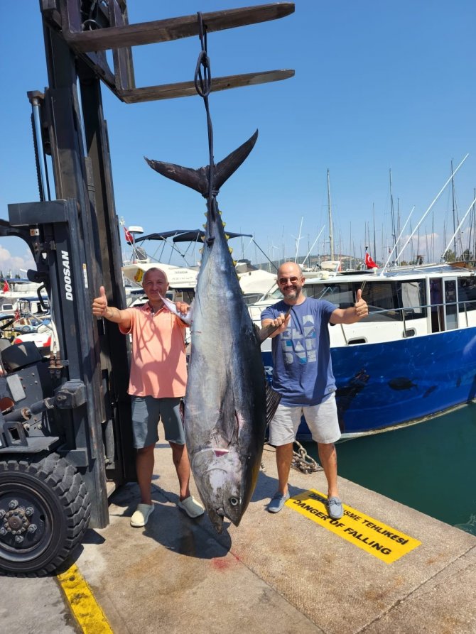 İ̇zmir’de 2 Metrelik Orkinos Yakalandı