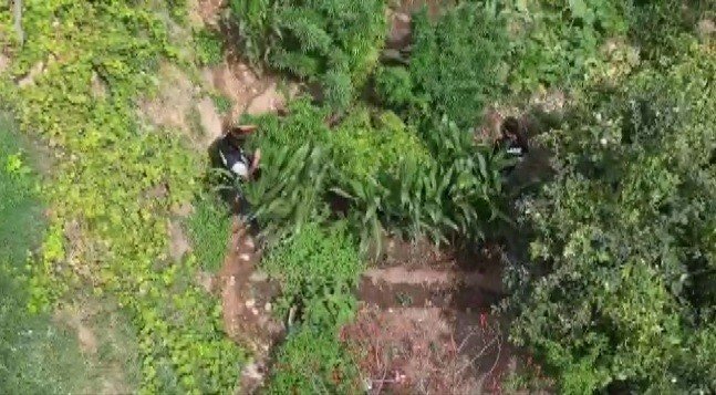 Evinde 10 Kilogram Esrarla Yakalanan Zehir Taciri Tutuklandı