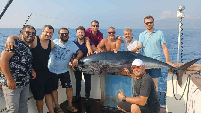 İ̇zmir’de 2 Metrelik Orkinos Yakalandı