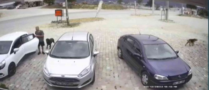 Şaşkına Çeviren Köpek Hırsızlığı