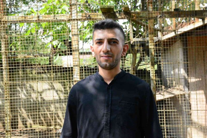 Şaşkına Çeviren Köpek Hırsızlığı