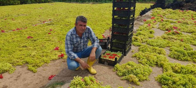 Üzüm Üreticisi Dolandırılmaktan Son Anda Kurtuldu
