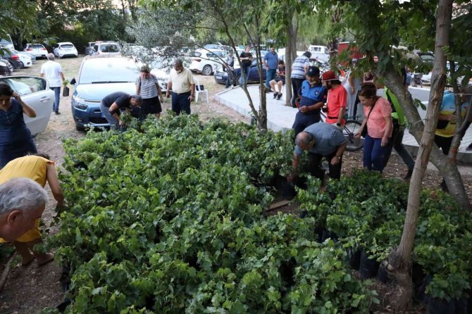 Narlı Kahvesi Tekrar Hizmete Açıldı