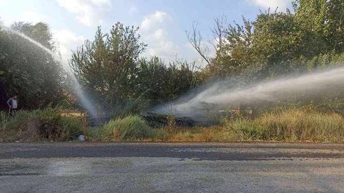 Otluk Alanda Çıkan Yangın Ağaçlara Sıçramadan Söndürüldü
