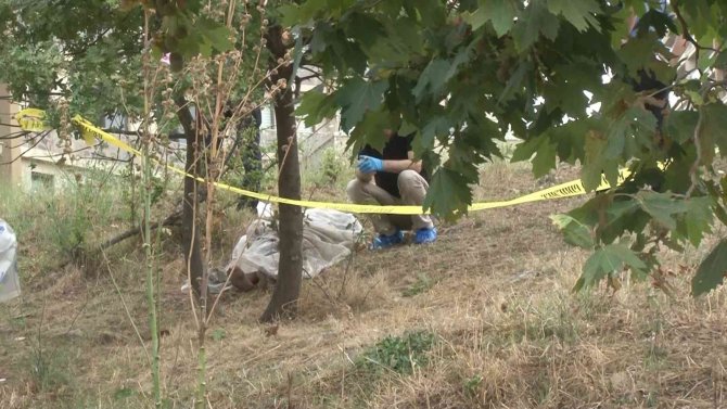 Pendik’te Şüpheli Ölüm: Ağaçta Asılı Bulundu
