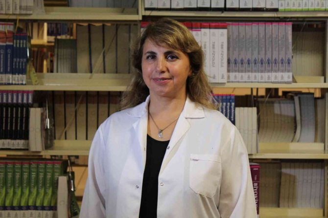 “Domates Gribinin Kontrol Altına Alınması Zor Görünüyor”