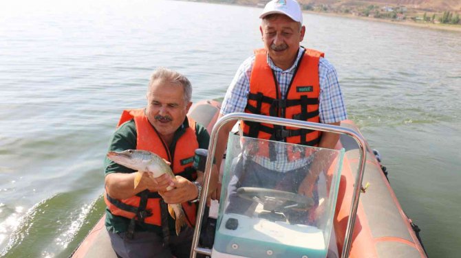 Çorum’da Baraj Ve Göletlere 900 Bin Sazan Balığı Yavrusu Bırakıldı