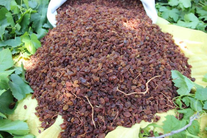 Tari̇ş, Tmo İle İş Birliğine Hazır