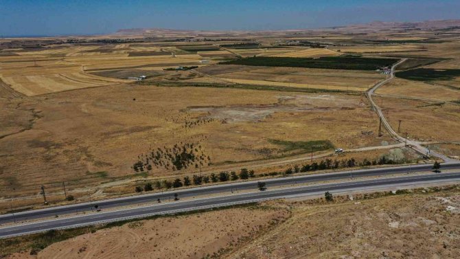 Türkiye’nin İkinci Büyük Sebze Hali Van’a Yapılıyor