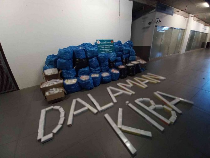 Uçaktaki 49 Yolcunun Anlaşarak Sokmaya Çalıştığı 75 Bin Paket Elektronik Sigara Kartuşu Yakalandı