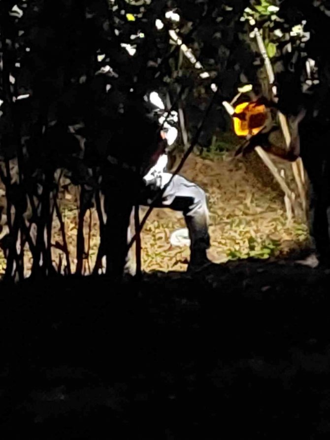 Zonguldak’ta Yaşlı Adam Fındık Bahçesinde Ölü Bulundu