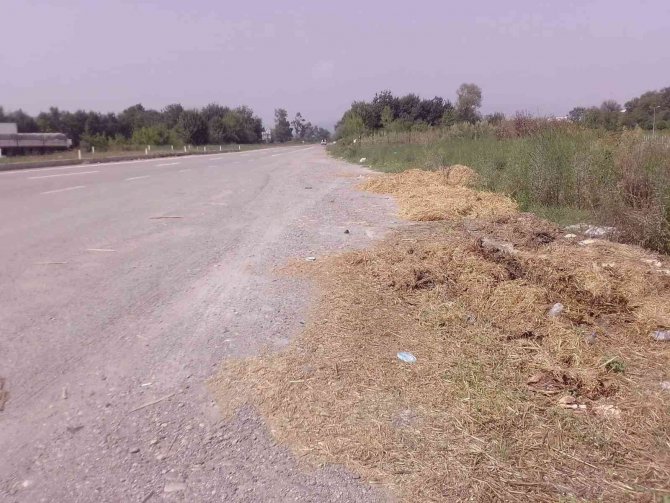 Anayolun Kenarı Çöplüğe Döndü