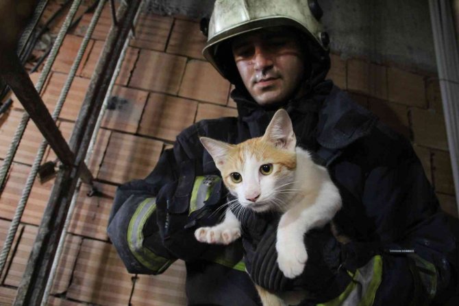 Önce Kurtarıldı, Sonra Kapı Kapı Sahibi Arandı