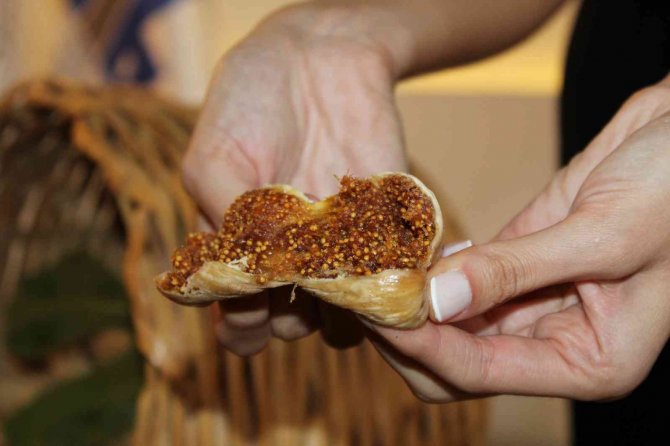 Kuru İncirde En Fazla İhraç Ab Ülkelerine Yapılıyor