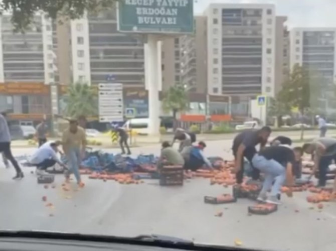 Bursa’da Kamyonetten Dökülen Şeftaliler İçin Herkes Seferber Oldu