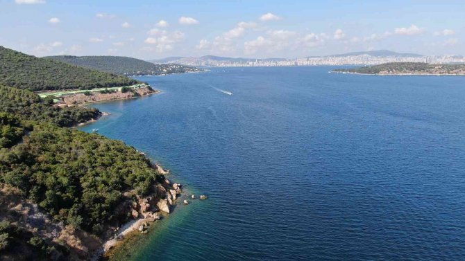 Büyükada’da Dalyan Dolandırıcılığı