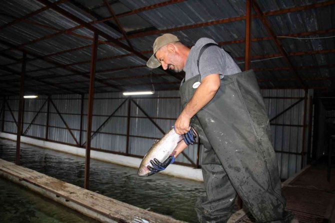 Türkiye’nin Balık İhtiyacının Yüzde 10’ Nu Bozkırın Ortasında Karşılanıyor