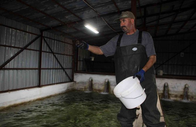 Türkiye’nin Balık İhtiyacının Yüzde 10’ Nu Bozkırın Ortasında Karşılanıyor