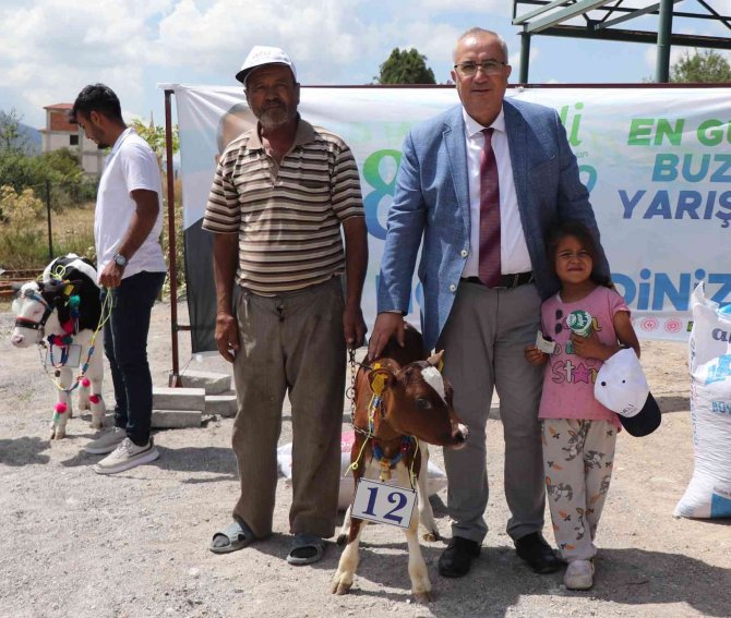Çameli’nde Buzağı, Domates Ve Fasulyenin En Güzelleri Seçildi