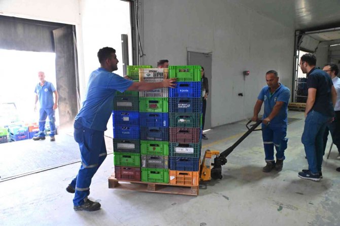 İ̇ncir Üreticisine Can Suyu