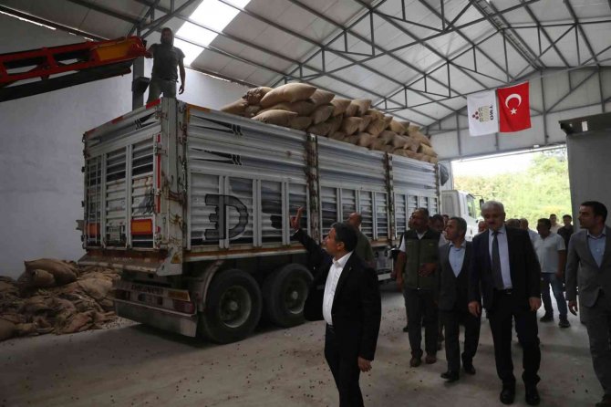 Valiler Atay Ve Kılıç, Fındık Alım Merkezini İnceledi