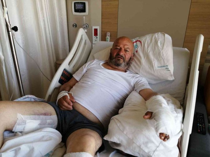 Ayının Saldırısına Uğrayan Yaşlı Adam Tedavi Altına Alındı
