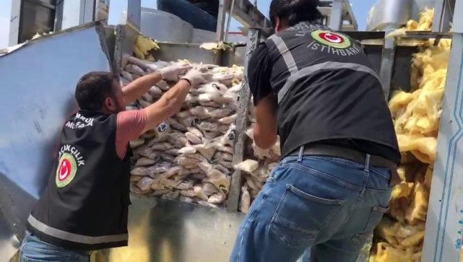 İ̇stanbul Ambarlı Limanı’nda 12.3 Milyon Adet Captagon Hap Ele Geçirildi