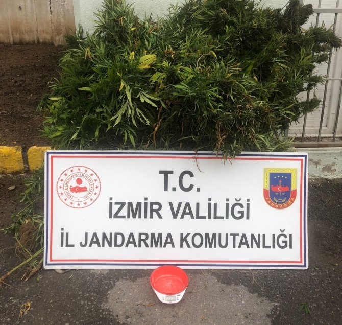 İ̇zmir’de Jandarmadan Uyuşturucu Operasyonu: 63 Şüpheliye İşlem