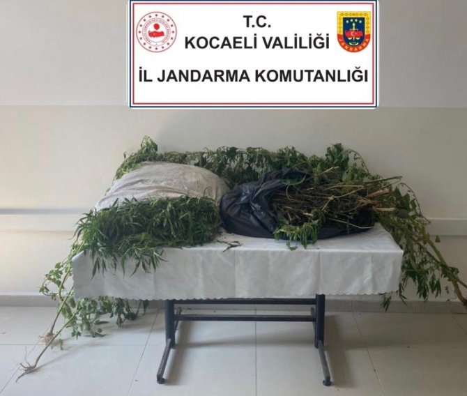 Kocaeli’de 30 Kilo Esrar Ele Geçirildi