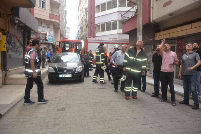 Ordu’da ’Koku’ Paniği