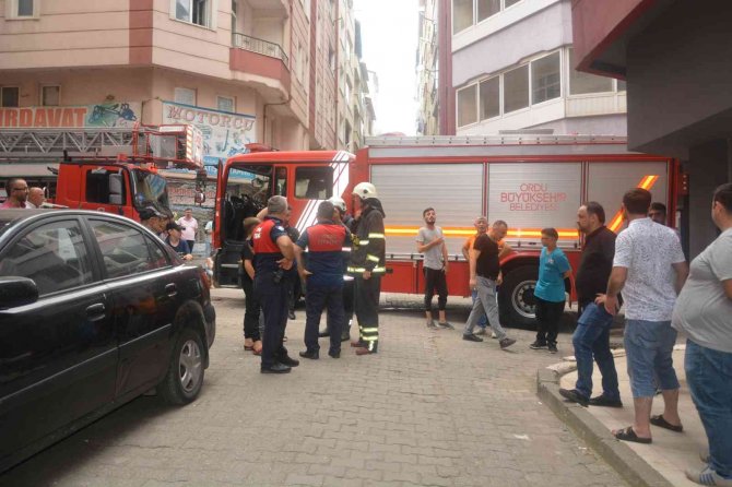 Ordu’da ’Koku’ Paniği