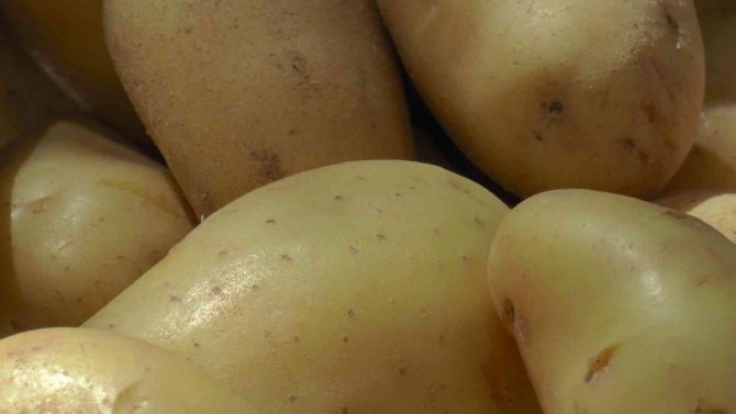 Püsi̇ad Yönetim Kurulu Başkanı Birol Güney: “Bu Yıl Türkiye’de İhtiyaç Fazlası 800-900 Bin Ton Civarında Patates Bekliyoruz”