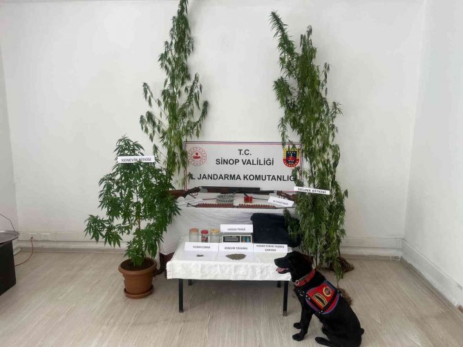 Sinop’ta Uyuşturucu Operasyonunda 2 Gözaltı