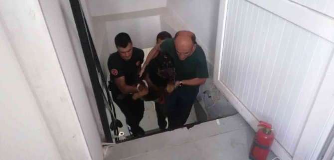 Antalya’da İtfaiyeden Bodrumda Yaşayan ’Şişman Köpek’ Operasyonu