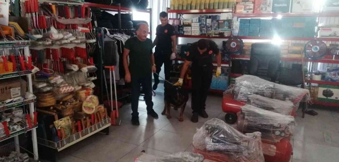 Antalya’da İtfaiyeden Bodrumda Yaşayan ’Şişman Köpek’ Operasyonu