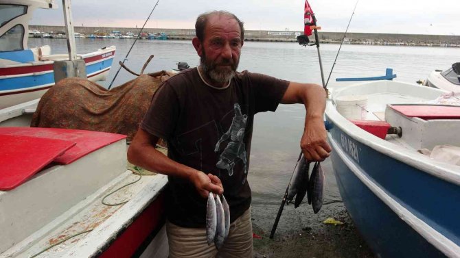 Sezonun Başlamasına Sayılı Günler Kala Palamudun Görüntüsü Bol Olacağı Yönünde