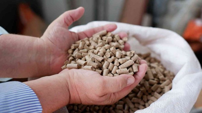 Bulgaristan’da Doğal Gaz Krizi, Çareyi Edirne’de Buldular